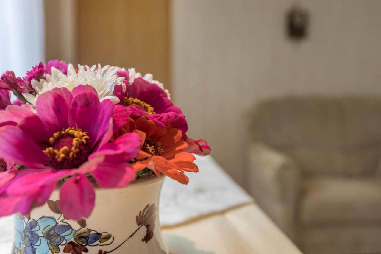 Ferienwohnung Grauer Moos  Εξωτερικό φωτογραφία